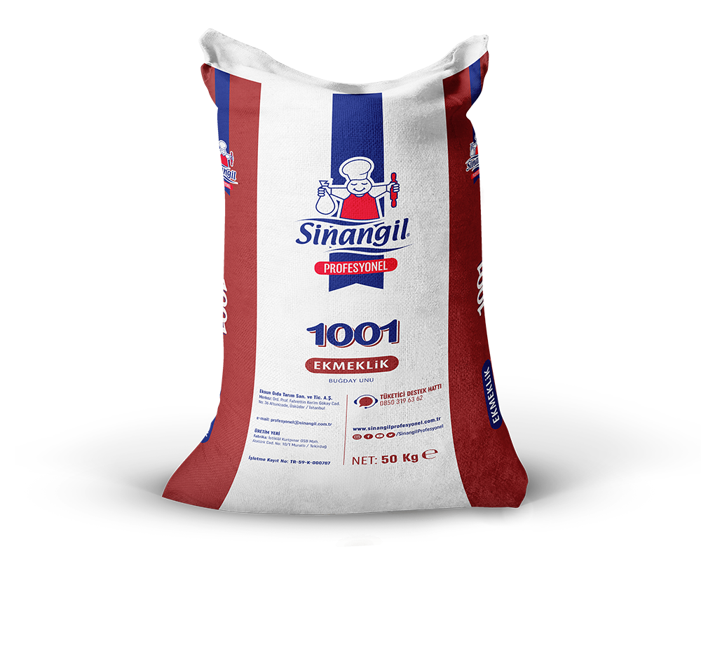 SİNANGİL 1001